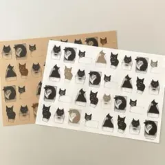 坂本千明 猫のイラストシート A4サイズ 2枚セット