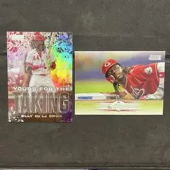 m*u様 elly de la cruz インサート・ベース　2枚セット