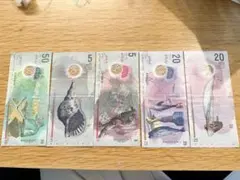 シンガポール 旧紙幣 8枚セット 古銭 - メルカリ