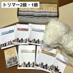 値下げ大特価！ ヒューマンアカデミーDVD教材 HTML 値下げ大特価！ ヒューマンアカデミーDVD教材 HTML