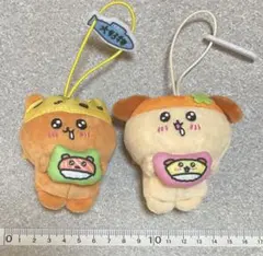 チェゴシム スシローコラボ ぬいぐるみ マスコット くまゴシム いぬゴシム