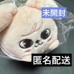 Stray Kids スキズ PuppyM ミニバッグチャーム パピム つむつむ