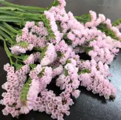 メル18455様専用♪No.3