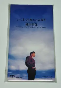 2026年最新】いつまでも変わらぬ愛を cdの人気アイテム - メルカリ