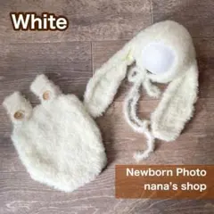 Item thumbnail for item a2076b6f-2d38-4a16-863e-9c00dc6bb42e