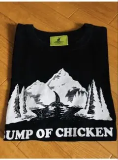 BUMP OF CHICKEN Tシャツ Lサイズ 夏フェス バンプ - メルカリ