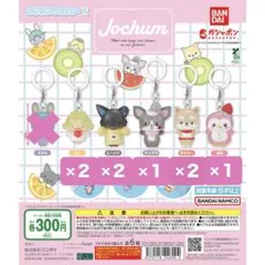 JOCHUM めじるしアクセサリー