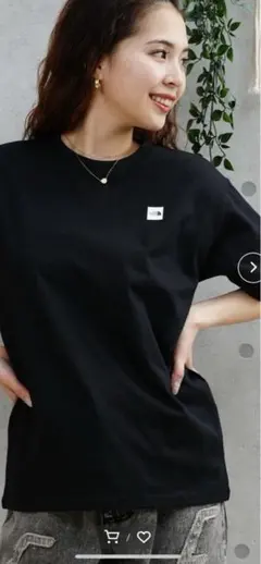 ノースフェイスTHE NORTH FACEザノースフェイスボックスロゴTシャツ