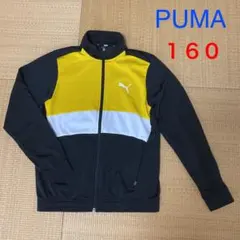 PUMA プーマ ジャージ　上　160