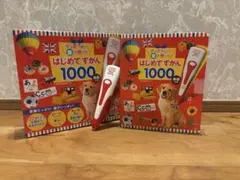 はじめてずかん1000.
