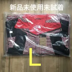 Supreme The North Face Mountain Jacket L