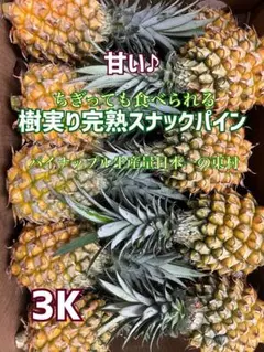 甘い樹実り完熟スナックパイン❣️生産量日本一の東村のパイナップル3Kのサムネイル