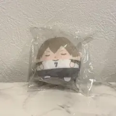 ハイキュー!! くじメイト ぬいくじ E賞 木葉