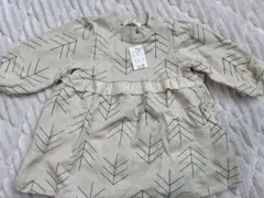 Item thumbnail for item 5875e96b-bb24-4d35-879d-73f00a4cf39c