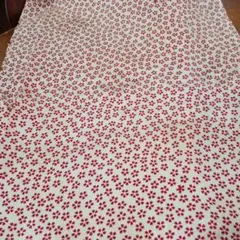 Item thumbnail for item 9fd49cd1-568c-4efb-8c38-27c0f2fc4455