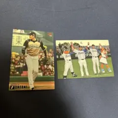 カルビー プロ野球チップス 大谷翔平 中田翔 カード - メルカリ