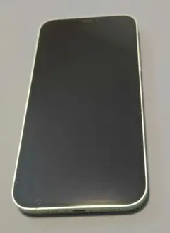 Apple iPhone 12 ミントグリーン 本体　256G