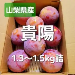 山梨県産 貴陽 1.3〜1.5kg詰のサムネイル