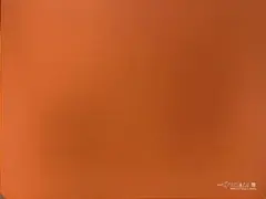 ARTISAN NINJA FX ゼロ 零 soft L 橙