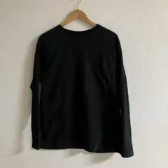 ザノースフェイスパープルレーベル NT3058N刺繍 ロンTee