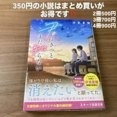 恋愛小説 文学・小説