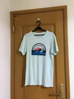 美品です❣️Patagoniaの水色Tシャツ★