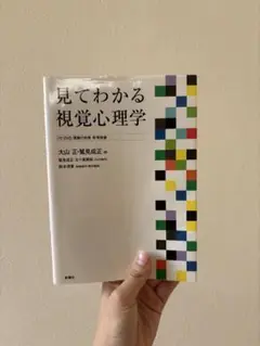 見てわかる視覚心理学 DVD付き