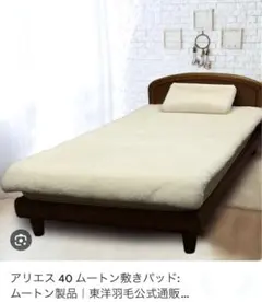 2025年最新】東洋羽毛 アリエスカバーの人気アイテム - メルカリ