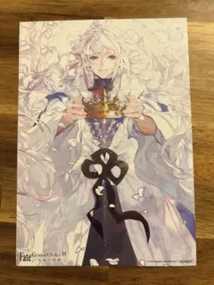 Fate FGO 星見の回廊 箔押し 缶バッジ マーリン - メルカリ