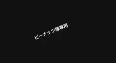 専用出品