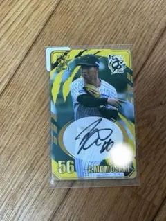 Item thumbnail for item 53bab194-f032-4416-9942-825464c6f09e