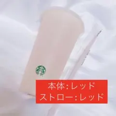 スターバックス 2025 ミステリーカラーチェンジングリユーザブルコールドカップ