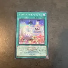 ヤミーズメント★アクロッキー　ロゴ入り　シークレット