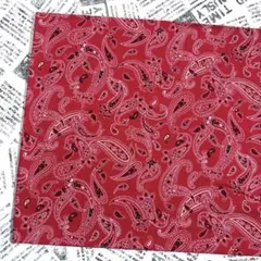 シーチング生地 ペイズリー 1m SALE