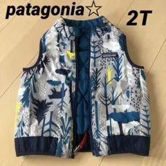 patagonia☆ リバーシブル ダウン ベスト ２Ｔ