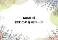 TandC様 リクエスト 9点 まとめ商品