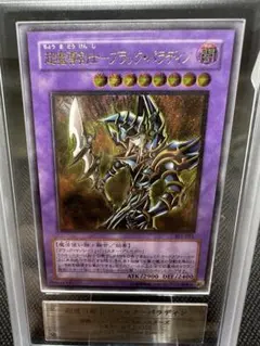 ARS10】サイバー・ボンテージ 闇界決闘記 ハーピィ 初期 - メルカリ
