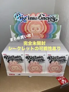 ラブブ THE MONSTERS Big into Energyシリーズ 未開封