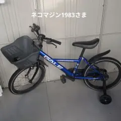 ☀️手渡し限定☀️自転車 ダイワサイクル ファイヤー ドラゴン キッズ