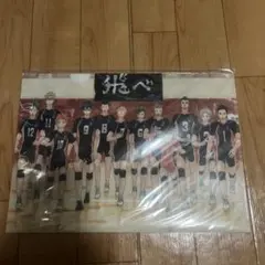 ハイキュー原画展 A4クリアファイル 2枚セット セッター