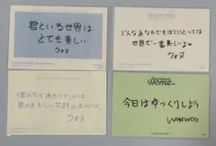 SEVENTEEN ウォヌ メセカ メッセージ トレカ セブチ イルコン