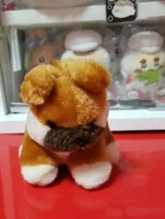 金華山チンチラゴールド頭でっかちくまぬいぐるみ - メルカリ