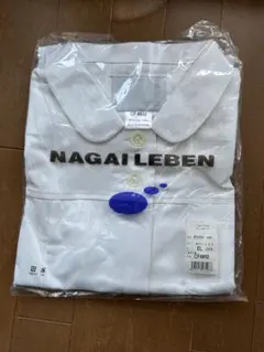 Item thumbnail for item 399f5798-82c3-4ff5-aac8-35215bf099d9