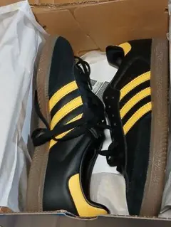 Item thumbnail for item e81b68ce-3b1b-4cc6-9f59-fa96c42da4ab