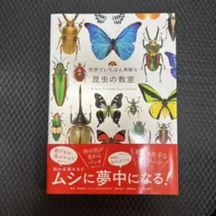 世界でいちばん素敵な昆虫の教室