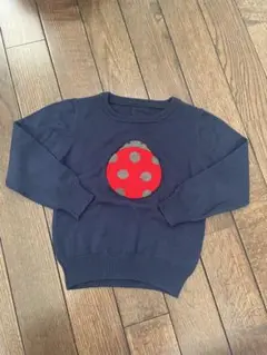 INSECT COLLECTION ネイビー　ニット　セッター