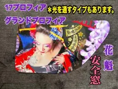 安全窓日野レンジャーグラプロ17プロフィア『花魁』パネル 光を通す 