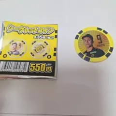 柏レイソルシークレットコイン 細谷真大