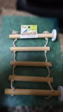 Item thumbnail for item a3f3d150-f609-40bc-bc3b-e88294c0d1ab