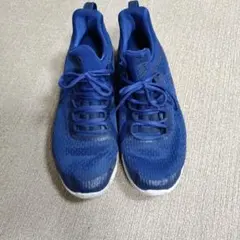 NIKE スニーカー ブルー